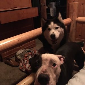 Meet your Posher, Chad